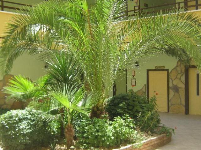Oya Apartments Kusadasi Luaran gambar